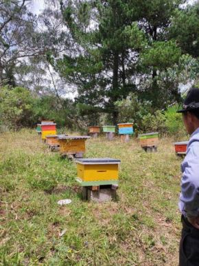 AGROFINCA TURISTICA El Guayama